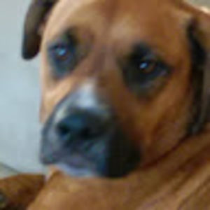 Meet your Posher, Cale